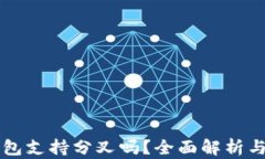 比特币钱包支持分叉吗？全面解析与选择指南