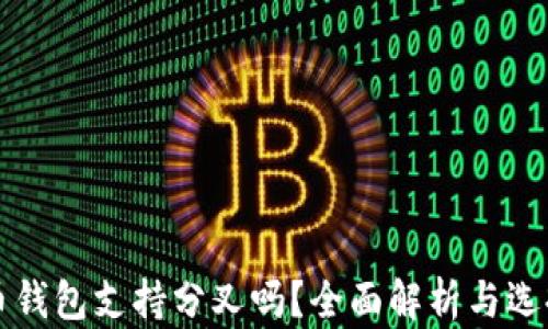 
比特币钱包支持分叉吗？全面解析与选择指南