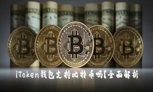 iToken钱包支持比特币吗？全面解析