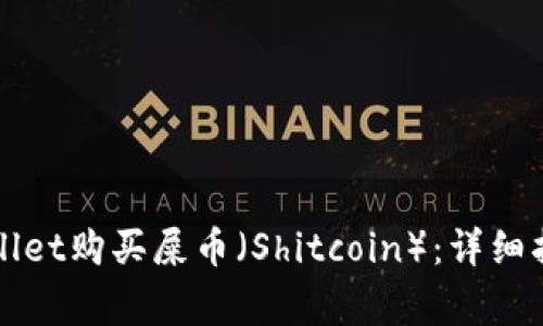 如何通过TPWallet购买屎币（Shitcoin）：详细指南与注意事项
