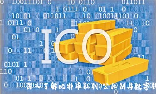   
बाियोटी深入了解比特币私钥：公私钥与数字钱包的关系