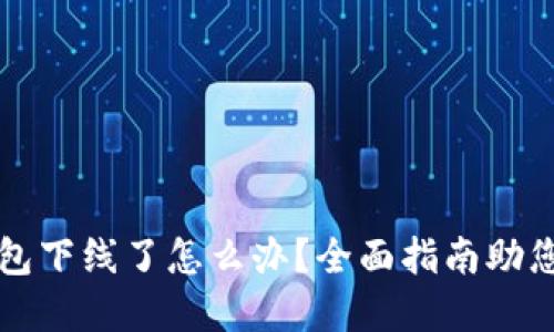 比特币钱包下线了怎么办？全面指南助您应对危机