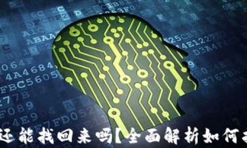 
手机掉了TPWallet还能找回来吗？全面解析如何找回丢失的数字资产