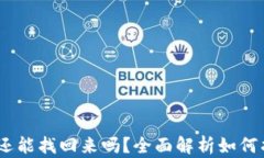 手机掉了TPWallet还能找回来吗？全面解析如何找回