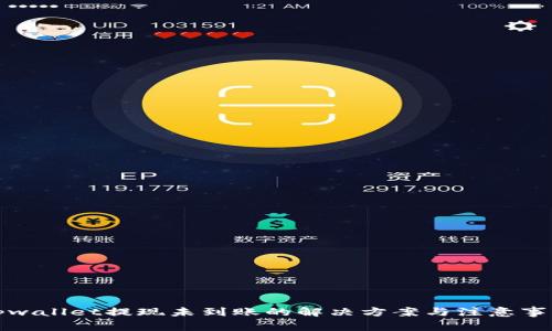 tpwallet提现未到账的解决方案与注意事项