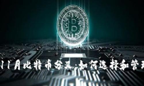 : 2023年11月比特币分叉：如何选择和管理您的钱包