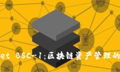 TPWallet BSC-1：区块链资产管理的新选择