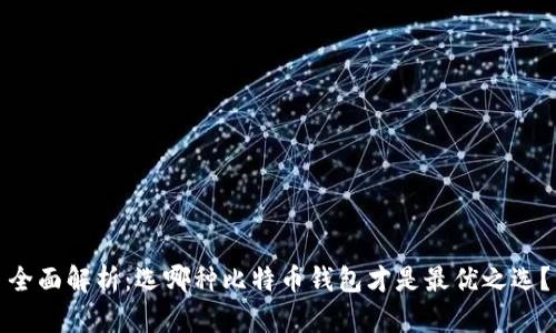 全面解析：选哪种比特币钱包才是最优之选？