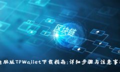 电脑版TPWallet下载指南：详细步骤与注意事项