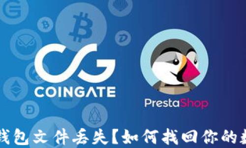 
比特币钱包文件丢失？如何找回你的数字资产