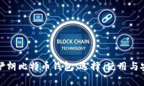 全面了解伊朗比特币钱包：选择、使用与安全性分析