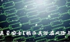 TPWallet是否安全？揭示其潜在风险与使用建议