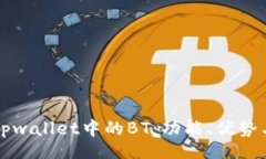 div深入了解tpwallet中的BT：功能、优势与使用指南