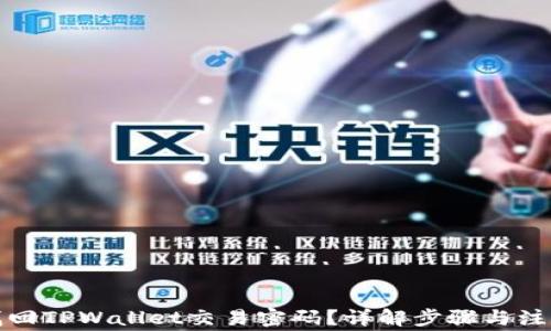 
如何找回TPWallet交易密码？详解步骤与注意事项