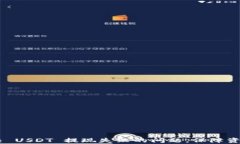 baiotiTPWallet 中 USDT 充值与提现问题解析及解决方