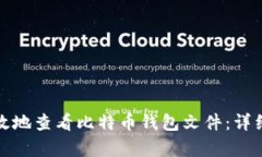 如何安全有效地查看比特币钱包文件：详细指南