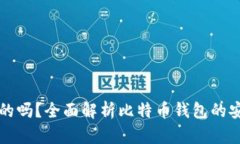 比特币钱包是真的吗？全面解析比特币钱包的安