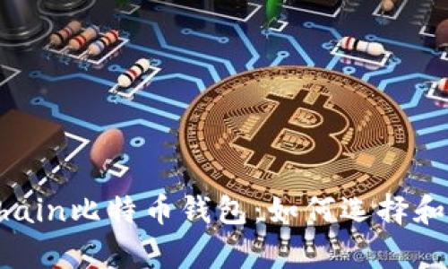 全面解析Onchain比特币钱包：如何选择和使用最佳钱包