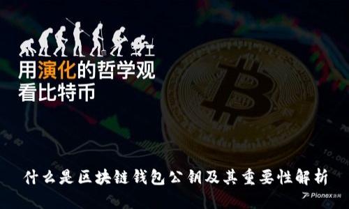 什么是区块链钱包公钥及其重要性解析