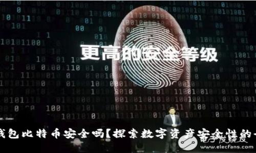 小狐狸钱包比特币安全吗？探索数字资产安全性的全新视角