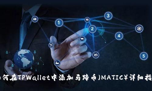 如何在TPWallet中添加马蹄币（MATIC）详细指南