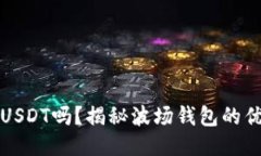 波场钱包能放USDT吗？揭秘波场钱包的优势与使用