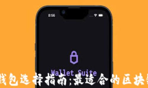 
USDT提取钱包选择指南：最适合的区块链及其优势