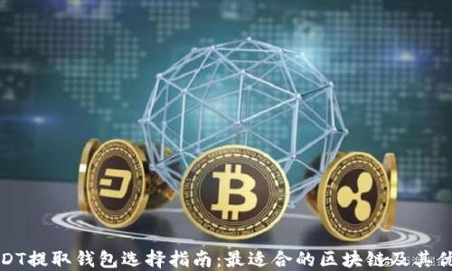 
USDT提取钱包选择指南：最适合的区块链及其优势