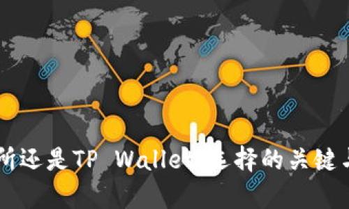 币放在交易所还是TP Wallet：选择的关键与安全性分析