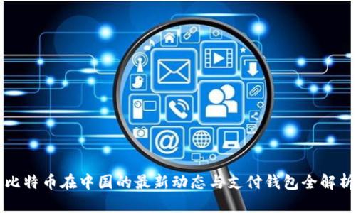 比特币在中国的最新动态与支付钱包全解析