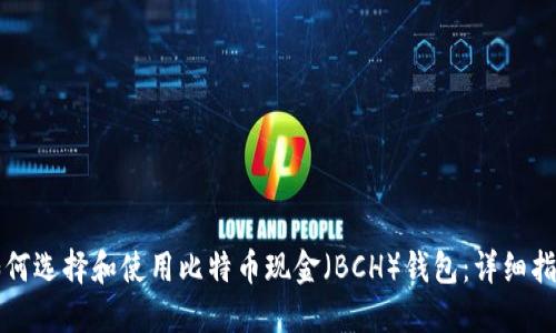 如何选择和使用比特币现金（BCH）钱包：详细指南