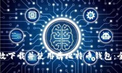 如何高效下载并使用奔比特币钱包：全面指南