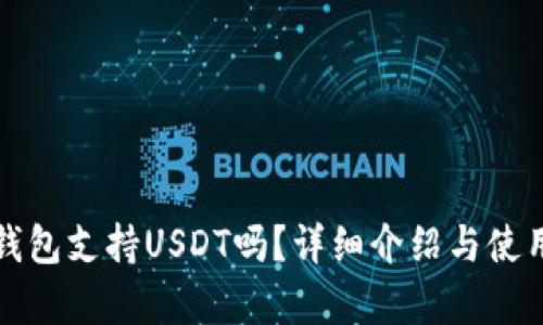 极客钱包支持USDT吗？详细介绍与使用指南