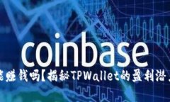 tpwallet真能赚钱吗？揭秘TPWallet的盈利潜力与风险