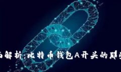 : 全面解析：比特币钱包A开头的那些事儿