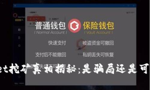TPWallet挖矿真相揭秘：是骗局还是可靠投资？