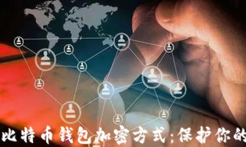 
深入探讨比特币钱包加密方式：保护你的数字资产