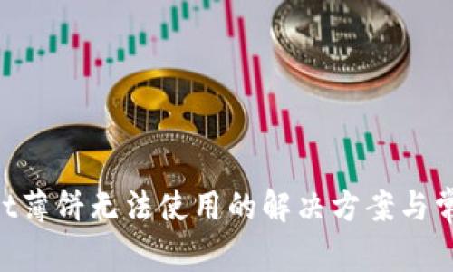 TokenPocket薄饼无法使用的解决方案与常见问题解析