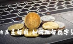 地址与区块链的关系解析：如何理解数字货币的